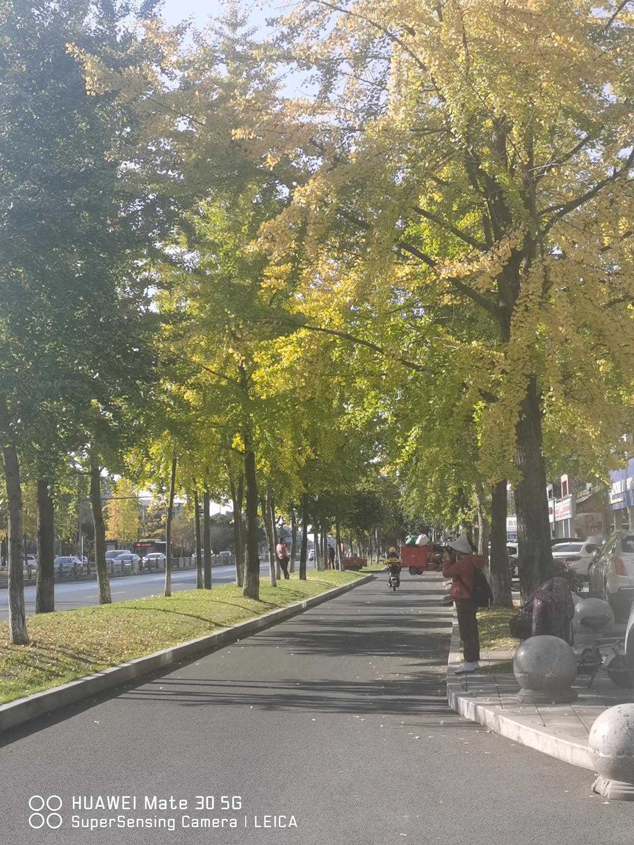 但凡是有人鼓吹吃安眠药几十年身体健康的，请不要相信！也不知道这些人是什么动机？不