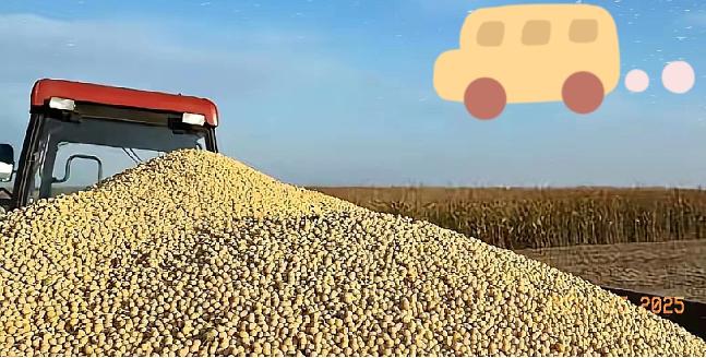 200万吨大豆烂港,巴西错判中国贸易底牌!2018年中美贸易战正打得胶着,美