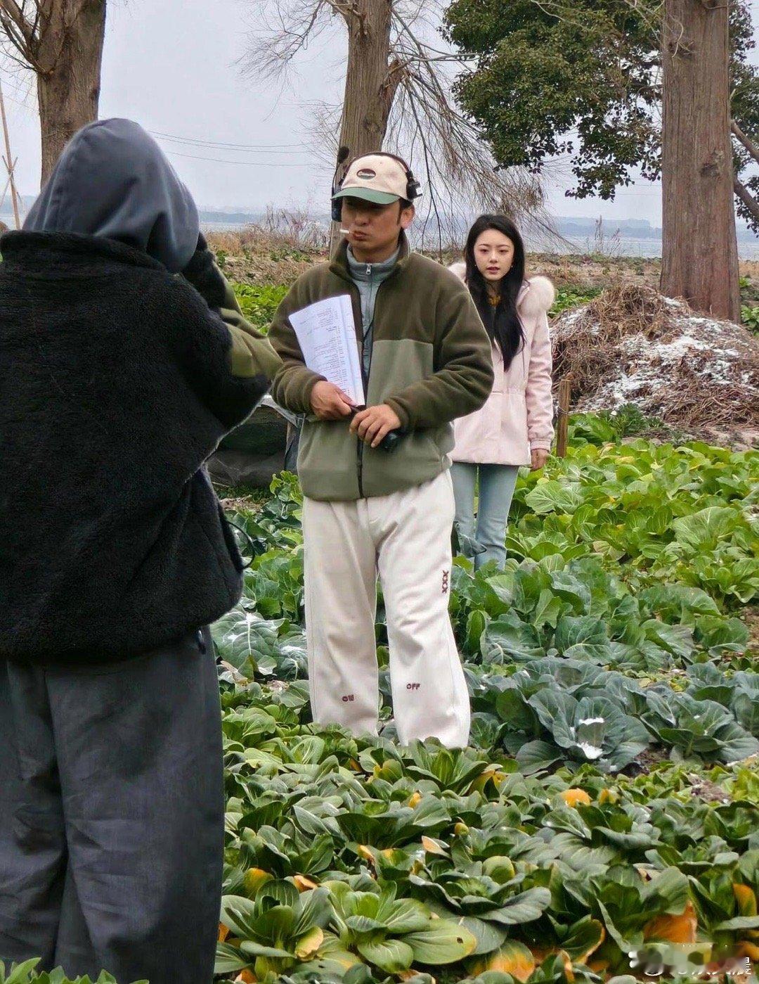 赵今麦你家油菜地的叶子都黄了，这生图绝了！