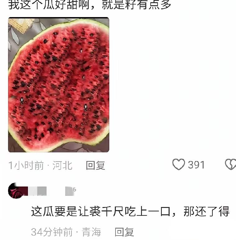 别的西瓜是西瓜里面长了籽这个西瓜是籽里面长了西瓜