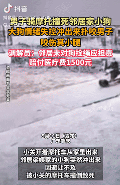 真够倒霉的！广东肇庆，一男子骑摩托出门时，邻居家的小狗突然冲出来，男子避让不及将