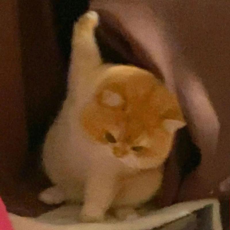 王兴兴称通用机器人一定可以实现王兴兴说通用机器人这代人肯定能等到，想想都有点激动