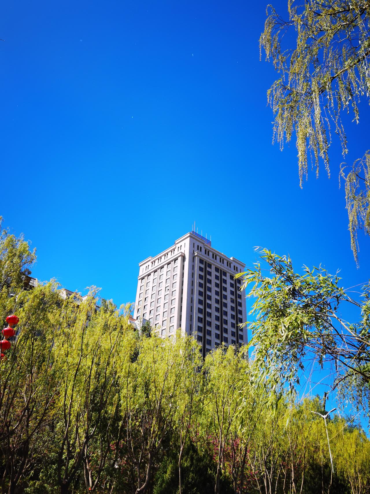 文科生的出路在哪里？我侄女学的是文科，大学毕业后一直都在考编，考了7年都没考上