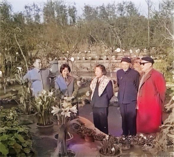 1964年周总理、张茜（陈毅夫人）、邓颖超、李井泉、陈毅元帅在成都杜甫草堂留影。