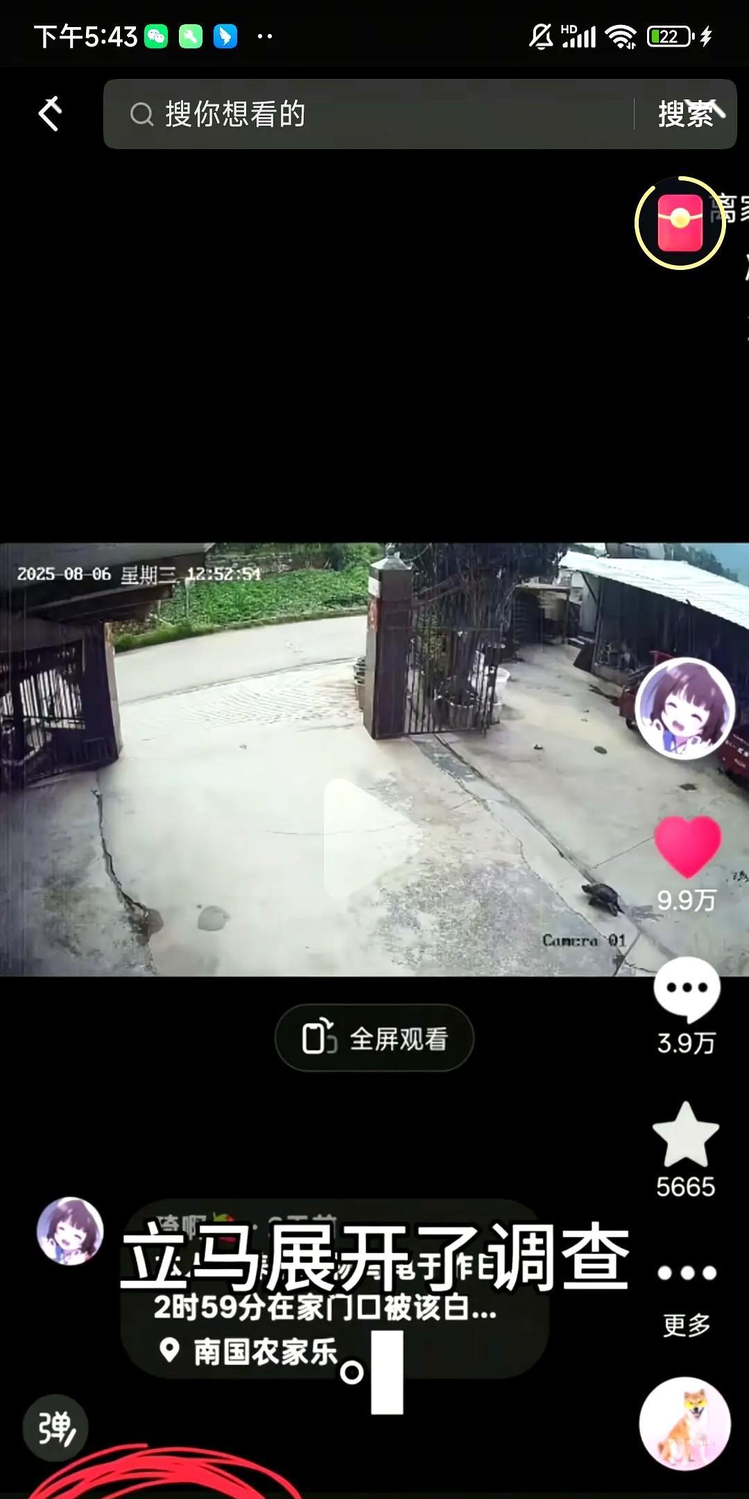 全网关注的“出走鳄龟”终于平安归来！经过两天一夜的坚持搜寻，女子激动地发布视频