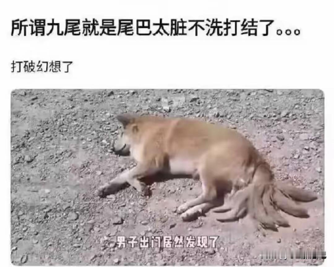 原来这就是九尾的由来[笑着哭]