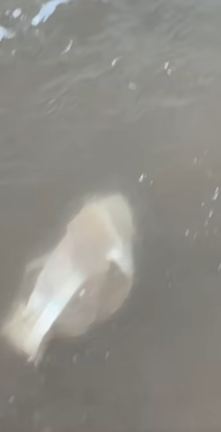 现在的海里有一个绝望的女生