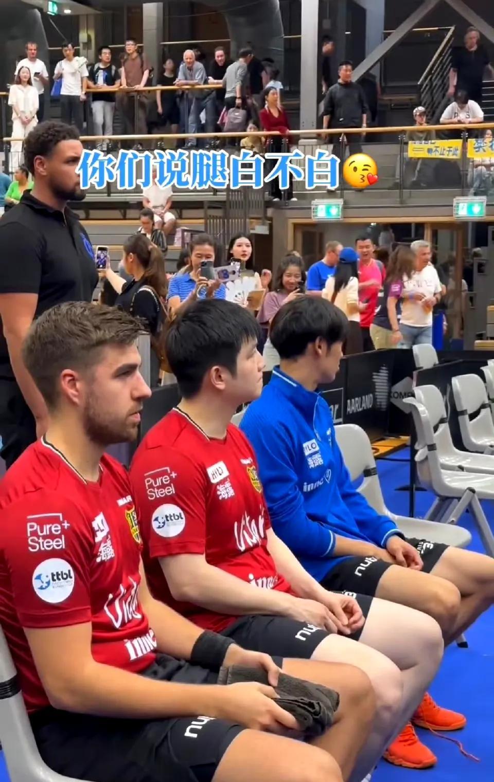 没想到坐在白人堆里的樊振东，也白得发光，亮得连短裤颜色都变浅了。不仅白，还嫩，