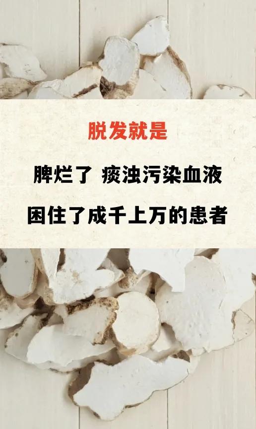 脱发就是脾烂了痰浊污染血液困住了成千上万的患者脱发掉发真的治不好吗？在