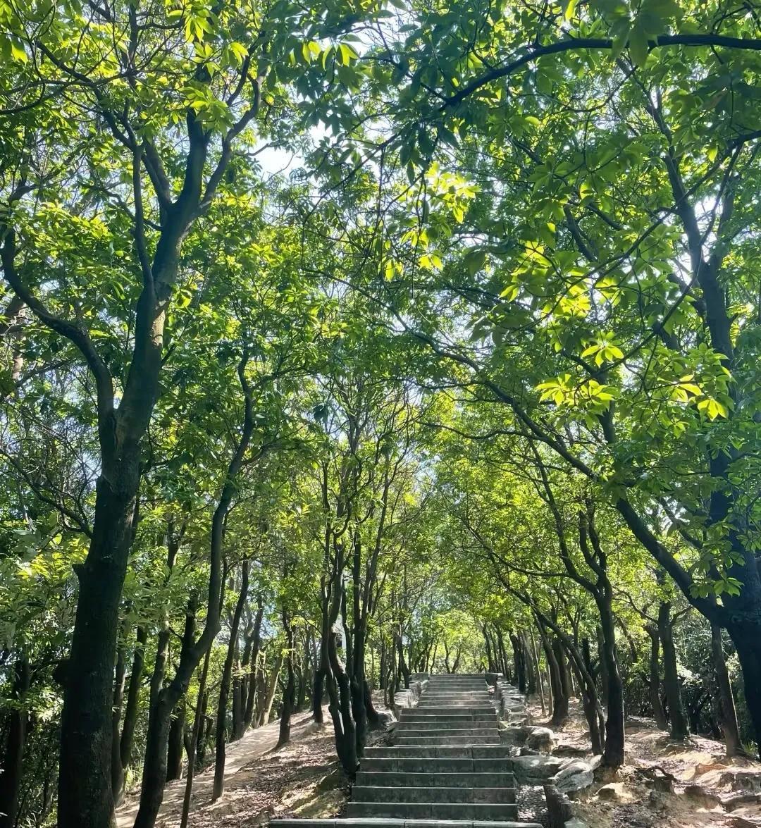 上午上班的时候接到一家超市打来的电话。“你好，你是XX女士吧，你婆婆多次偷超市的