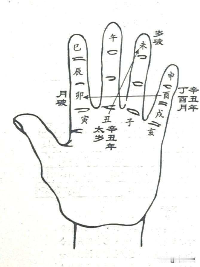 太岁可坐不可向：一、流年走到的地支即为太岁。二、太岁对冲的地支即为岁破。