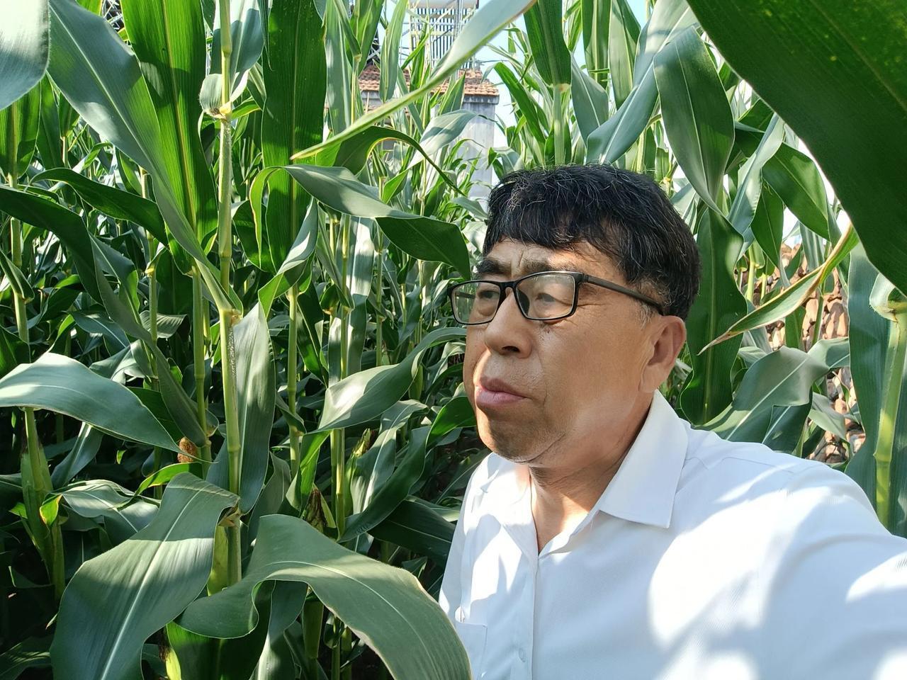 乡村农家！乡村农家，特别是收获的季节，真得太美了。立了秋，天气仍然还