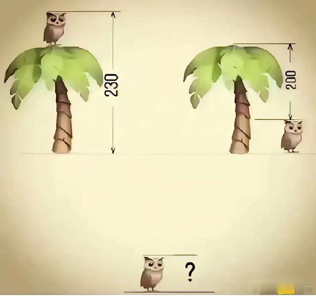 三年级的数学题差点把我难到了😂