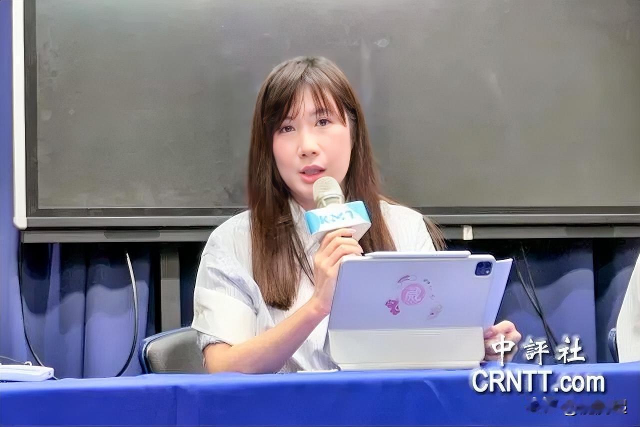 中国国民党今天设立“黄复兴委员会”，由副主席季麟连兼任主委8月26日国民党