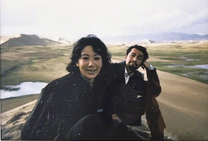 这个白菊给我拿奖！！这个白菊给我拿奖！​​​