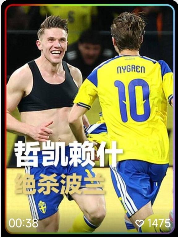 哲凯赖什，真正的锋霸，大赛脚不软，一发不可收，意大利队就缺这么个大杀器！瑞典3