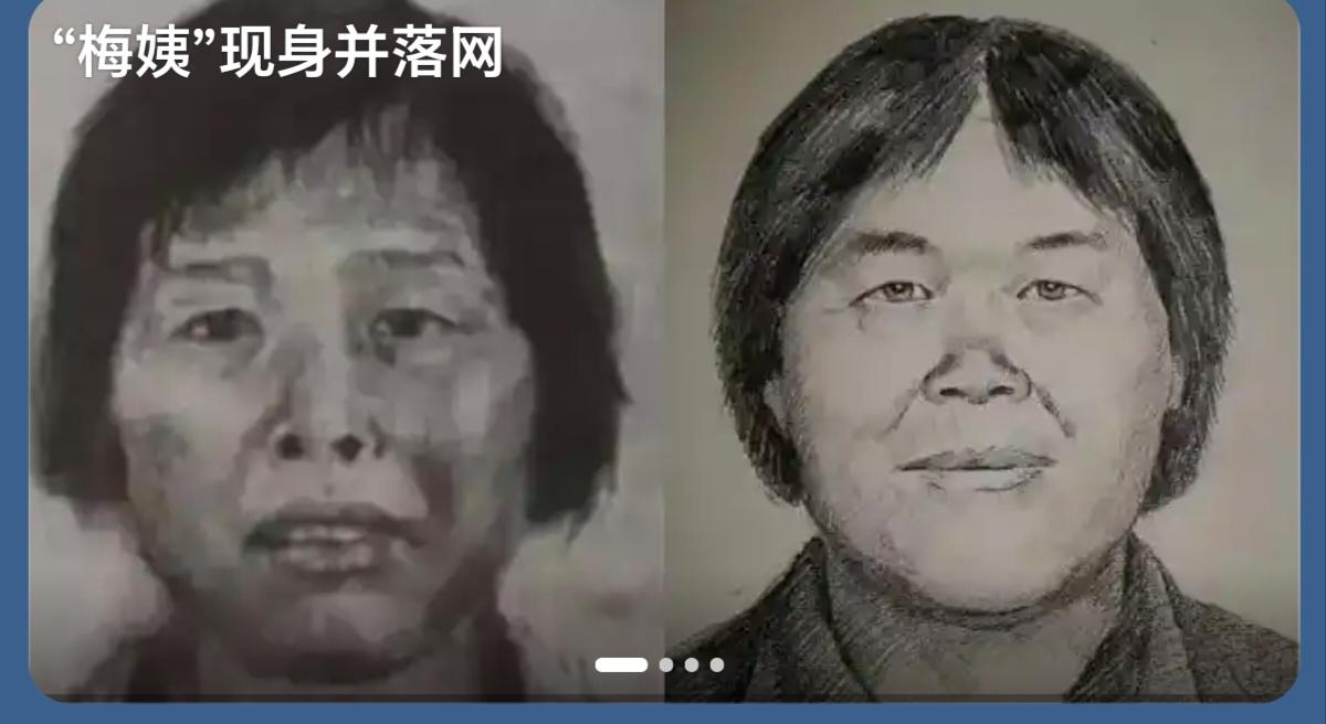 主犯张维平、周容平执行死刑了，希望“梅姨”下去三人对对账。拐卖9名儿童的梅姨终落