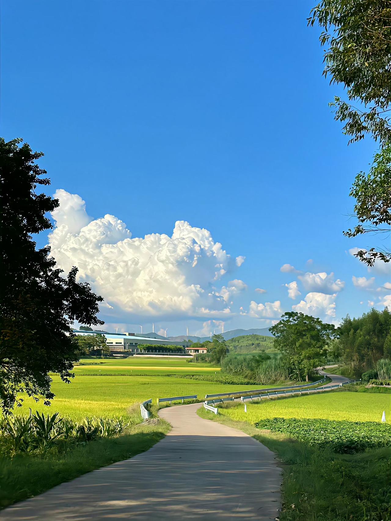 昨天接待了一位南京29中的高三的学生家长，就用了十分钟的时间，立马把所有的事情安