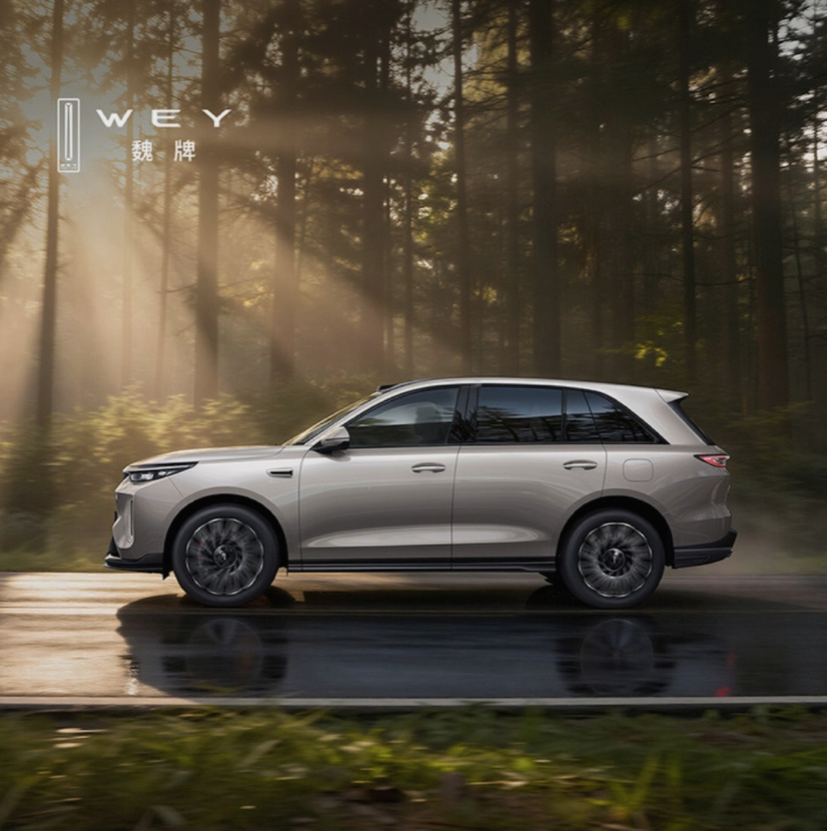 定位中大型SUV，五款配置可选，8月14日刚上市今天就交付，动作够快！...