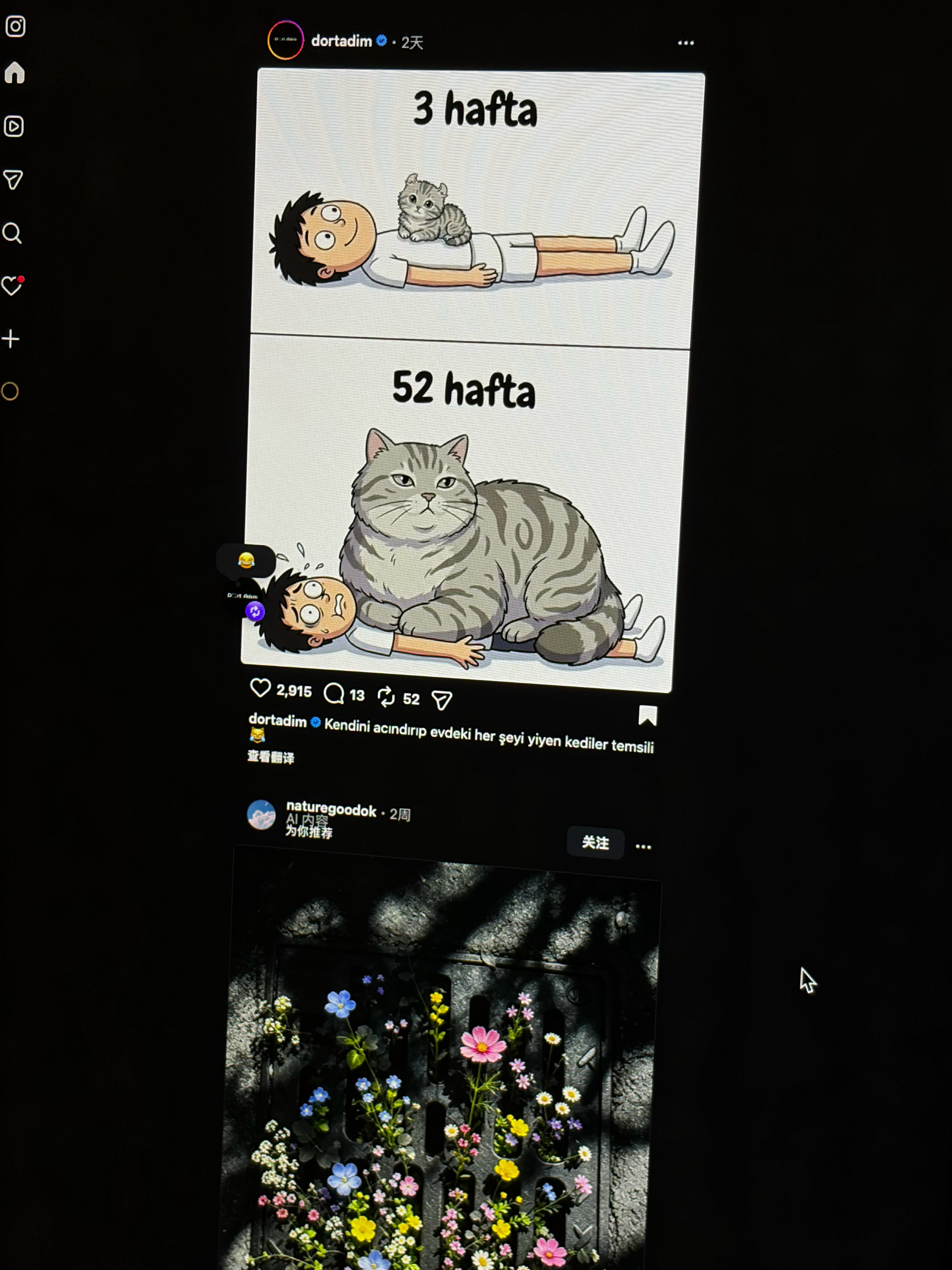 猫咪长大了：3周[抱抱]52周​​​