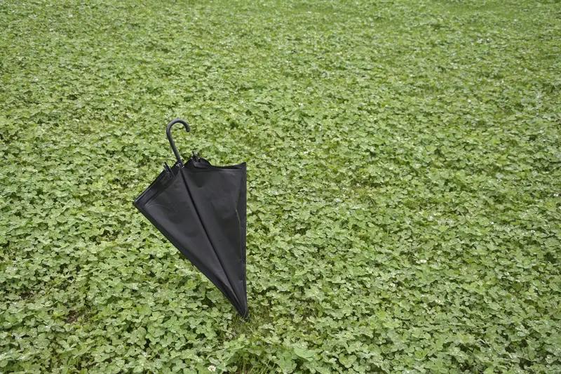 之前帮老乡安排了一份月薪八千到一万的工作，她本来说要请我吃饭还人情。我把她送到酒