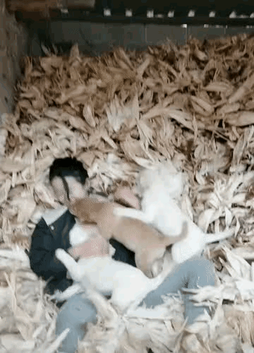 有一说一，人有的时候真的不如狗[捂脸哭]