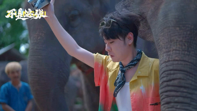 张云雷戴了一头鸟一头小鸟相伴，温柔又治愈，这松弛感和氛围感真的绝了。