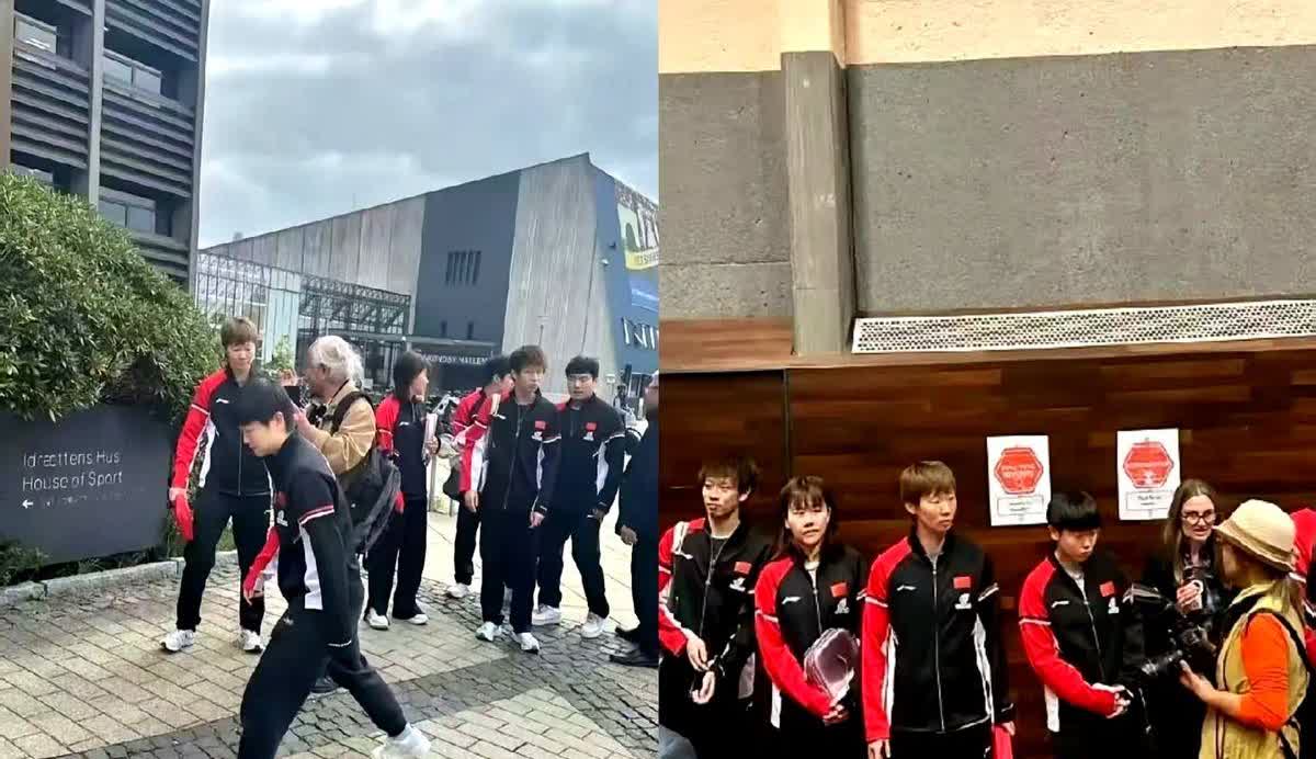 国乒全队罕见延迟回国，背后藏着一条被忽视的国际暗线凌晨四点没在机场蹲到人