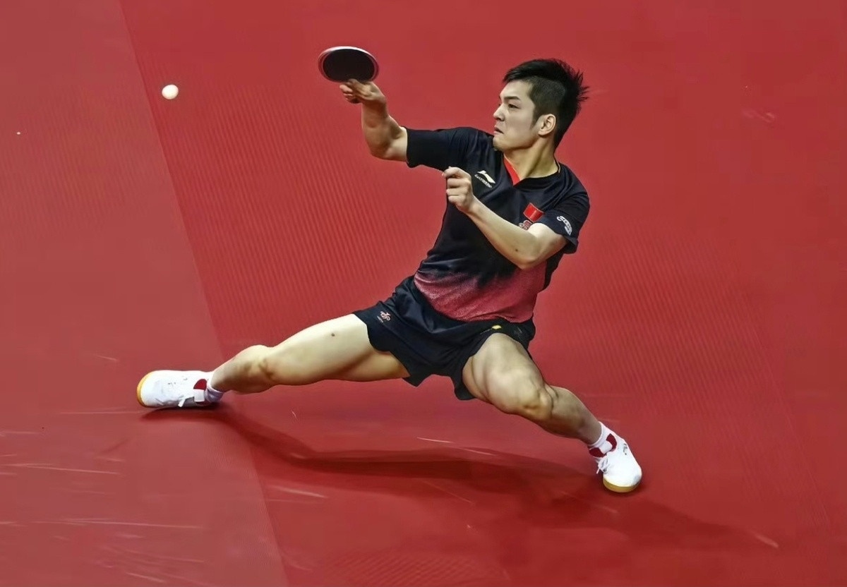 法媒对樊振东的夸赞：樊振东那对钢铁般的大腿！这个我懂，每次都被樊振东的超低重