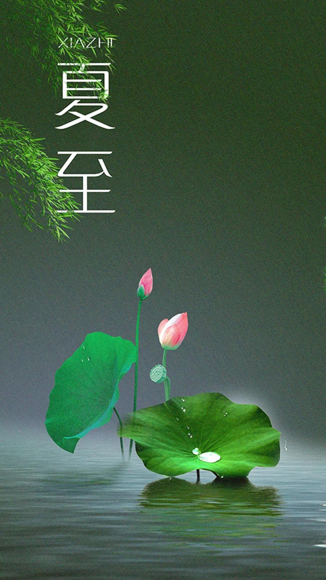 今日夏至，无论贫富，别忘了吃"夏至七宝"，准备入伏过盛夏！你可能会说："不就