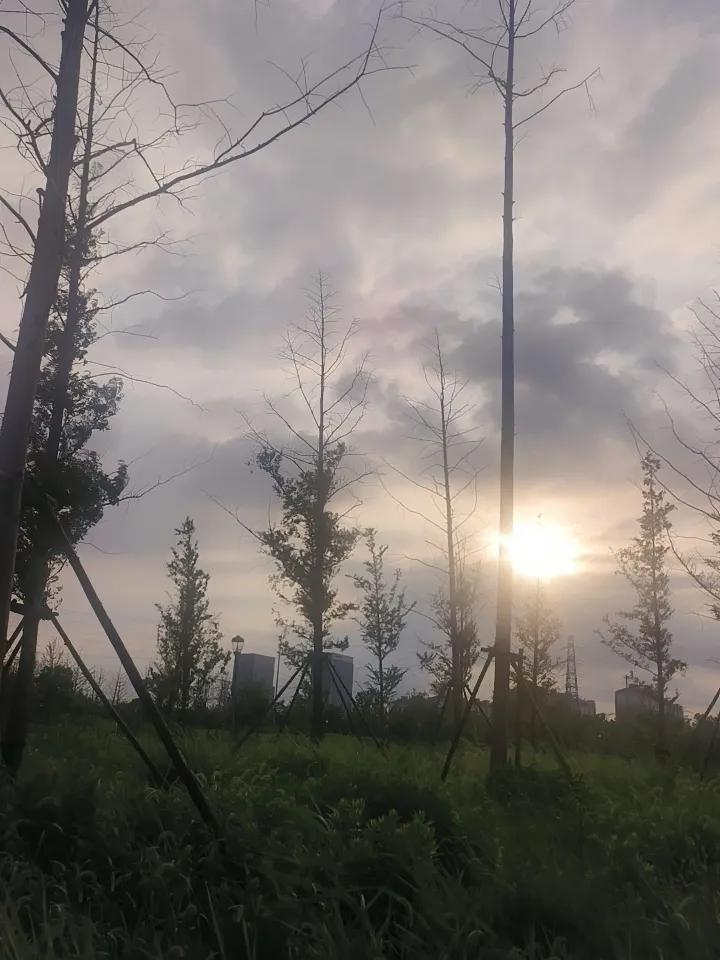 有人说，真正相爱的人是什么样子的呢？对于男人而言，如果一个女人时常的惦记着他，牵