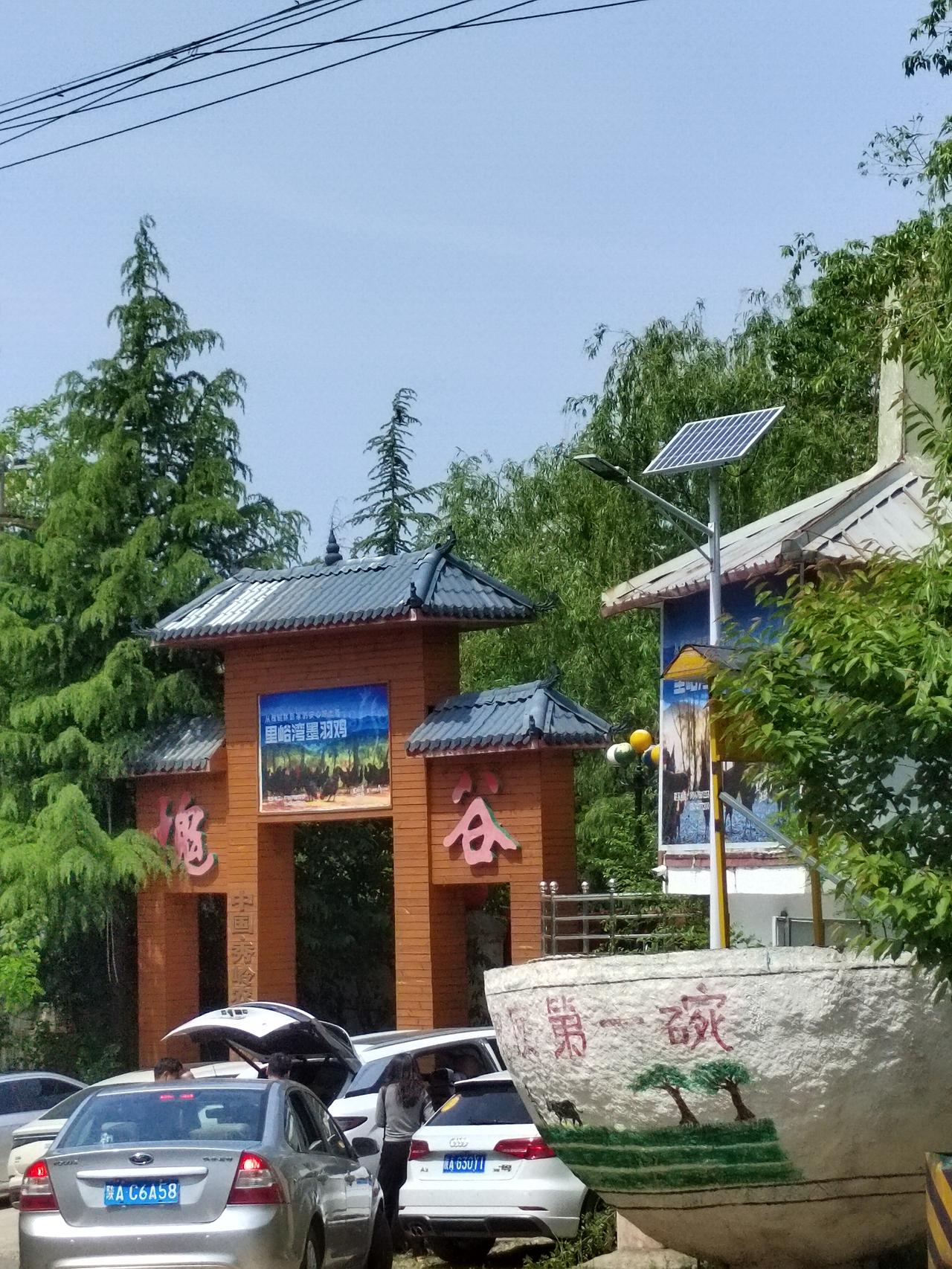 去蓝田摘槐花吧周日和女儿一家驱车奔蓝田三官庙的槐花谷，那里有槐花节庙会。虽然道