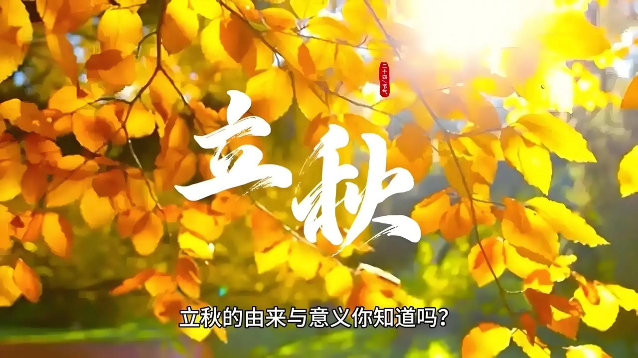 暑热未央秋意起，今日8月7日，迎来立秋节气。虽“秋”已立，暑热未央，但凉风暗度，
