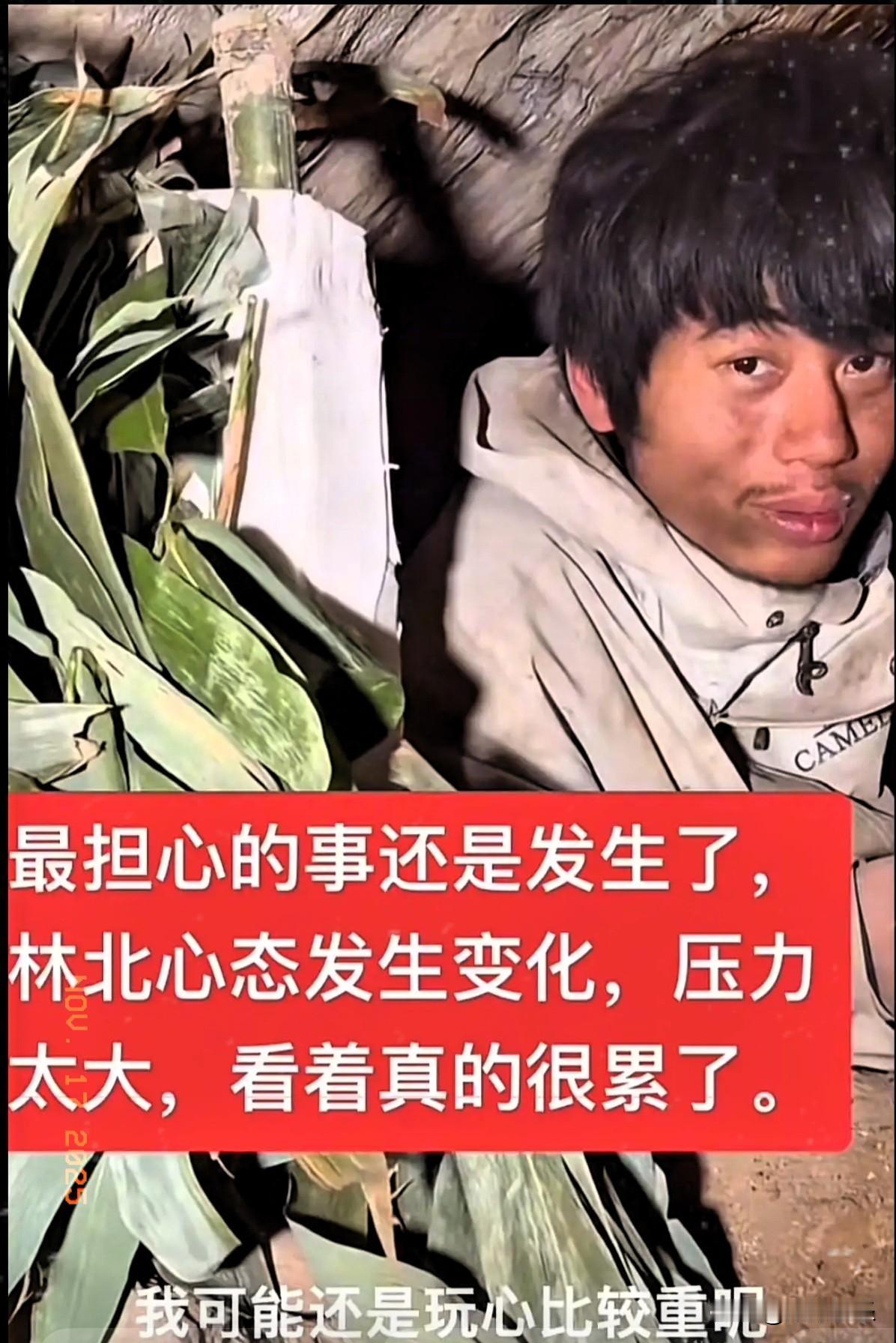 网友们最担心的事要发生了！荒野求生第40天，七星山突遭大降温，林北直言撑不住想