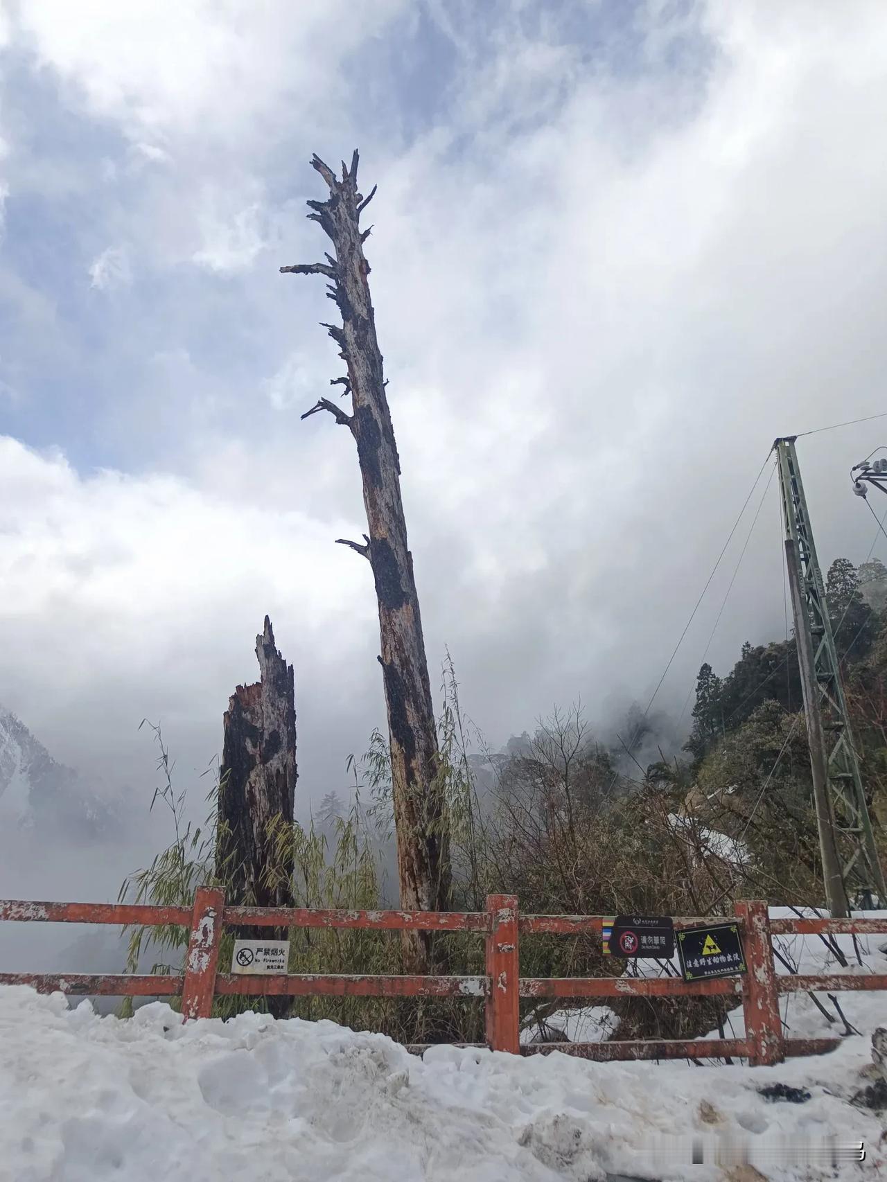 旅途中的诗：心莲一站又一站古老的驿路依然风尘仆仆的旅人啊，走过滇西，走