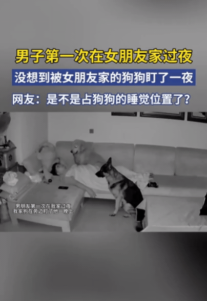 “笑不活了！”男子第1次去女友家过夜，为了给女友留下好印象，自告奋勇睡沙发，本以