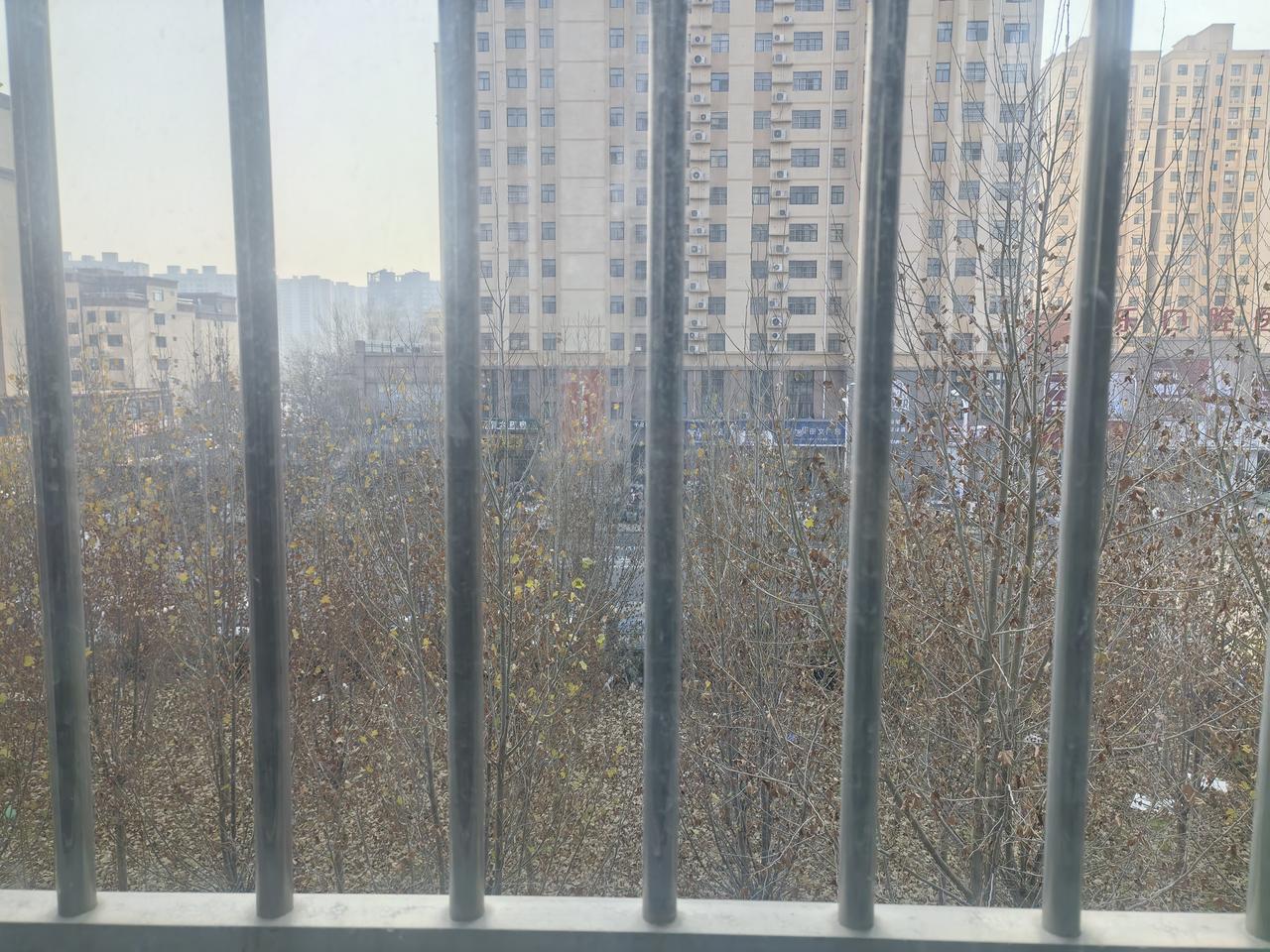 大雪节气过两天，至今未见雪花现。气温偏高不结冰，不利冬禾人生病。但愿老天