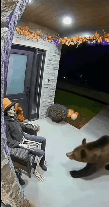 熊出没，碰到烂人，熊都怕三分，