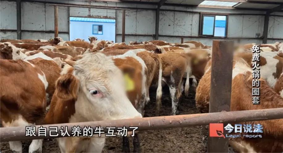 浙江杭州一伙骗子以“免费火锅”为诱饵，专门瞄准老年人开设火锅店，饭后推销“1万元