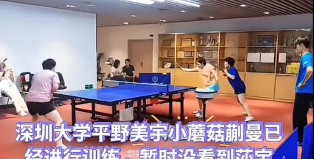 深大幼儿园的小朋友已经聚到一起备战乒超了，作为班长的孙颖莎小朋友迟迟未露面。网