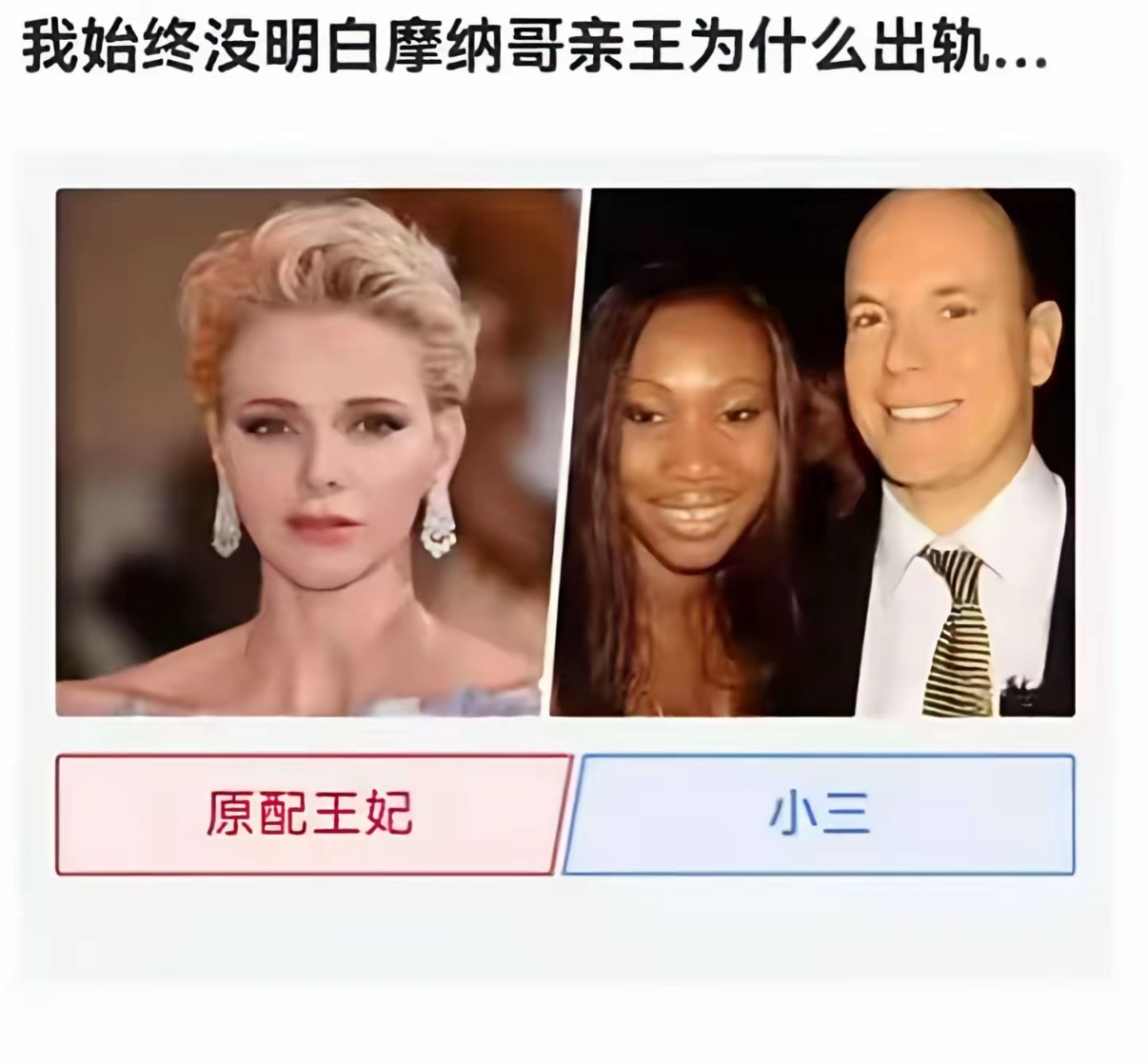 始终不明白摩纳哥亲王为什么出轨……