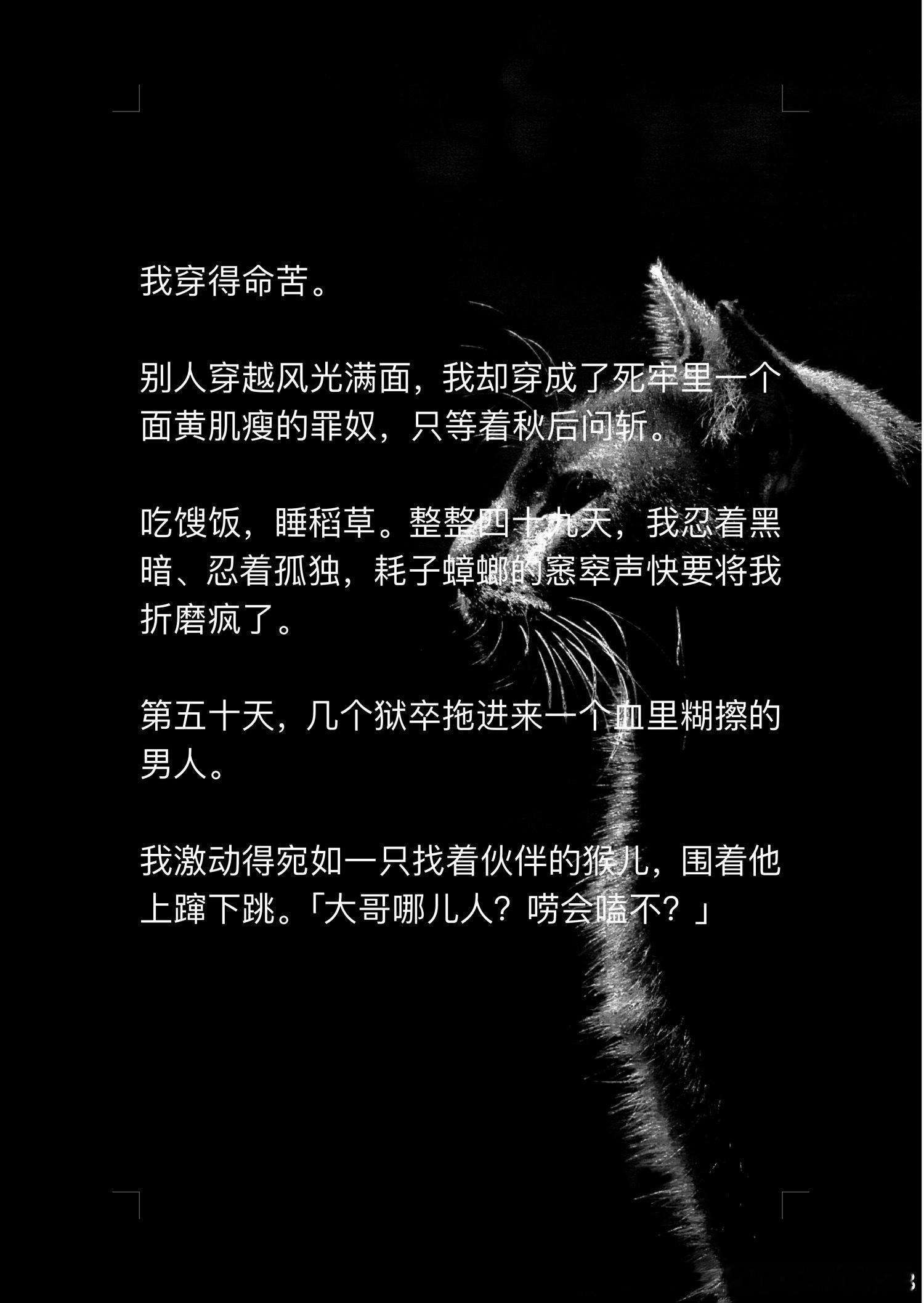 📖落尽逢明→知乎我穿得命苦。别人穿越风光满面，我却穿成了死牢里一个面黄肌瘦