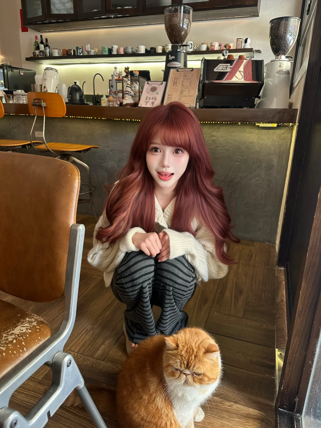 小猫咪🐈