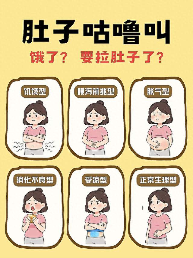 肚子总咕噜叫那阵子, 我轮着试了三款益生菌, 四个多月记录