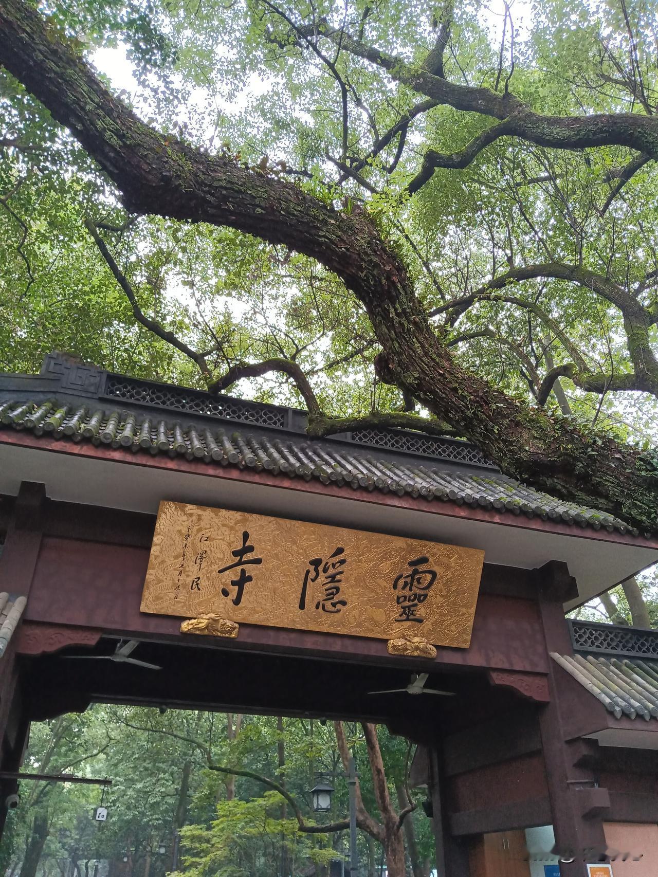 西湖、灵隐，这是杭州的两大名片啊！而其实，每到杭州，我最想去的还是灵隐寺。因