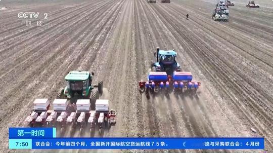 全国夏粮生产已进入产量形成的关键时期。农业农村部最新调度显示，冬小麦目前正处于灌