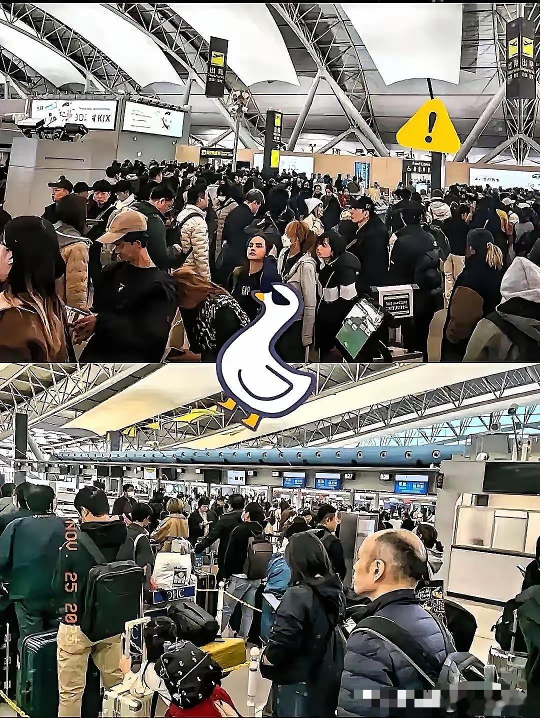 傻眼了吧，赴日旅游这就是不听劝的后果，去的潇洒，想回来可不容易了。航班取消买不到