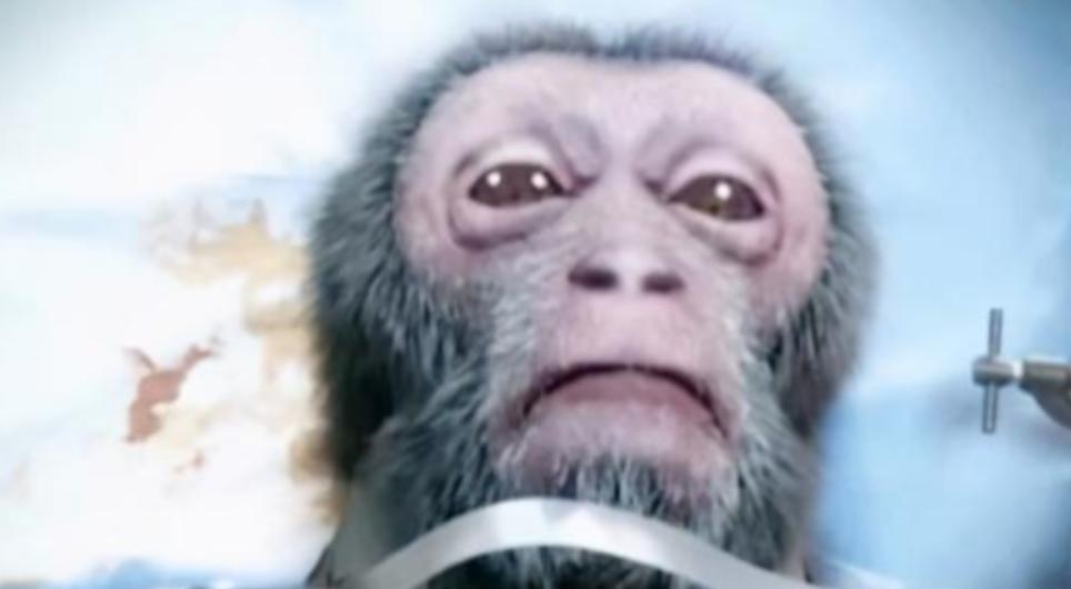 2016年，中国科学家耗费7000万，给猴子来了一场“换头”手术。可就在手术成功