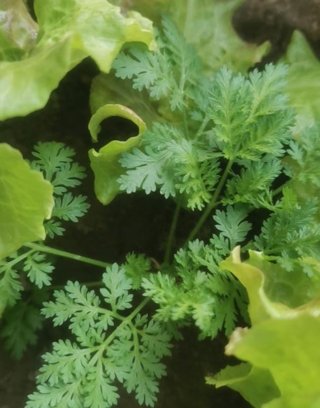 真是庆幸，315那些打假名单，我全部避雷！真是庆幸，今年曝光的这些打假名单，