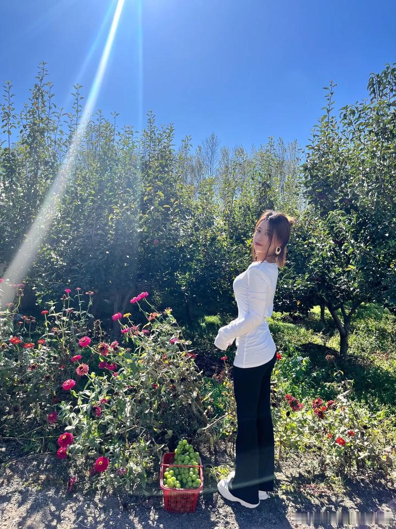 🐮1973年的属牛人在2026马的年份里，即将迈入人生的下一个阶段。然而，这个